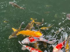 -新荣记(西溪湿地店)