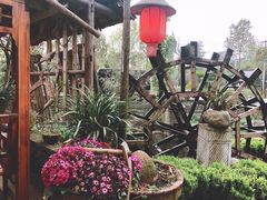 -青城甲(青城山店)