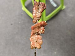 -杨记烤肉老店