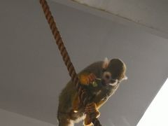 -西安秦岭野生动物园