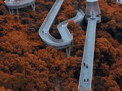 -福道