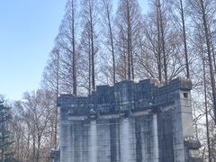 -音乐台