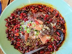 -小吊梨汤·北京菜·烤鸭(双井乐成中心店)