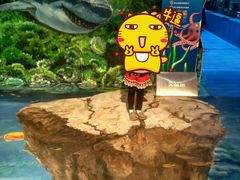 -乐从天佑城海洋馆