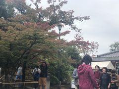 -豆政(金閣寺境内売店)