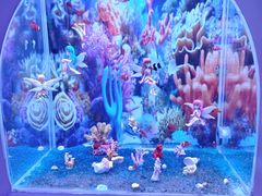 -南戴河国际娱乐中心