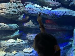 -沈阳海洋探索中心