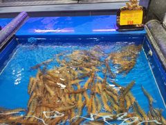 -万宝海鲜舫(劳动公园店)