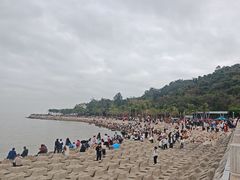 -野狸岛