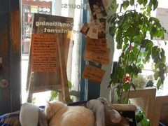 -Babycat私家御饼屋(龙头路一店)