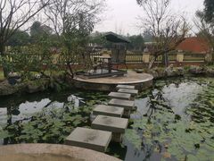 -洪湖家庭农场·团建·露营·会议