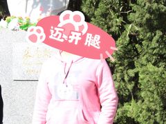 -成杰格斗·拳击·柔术·防身术(建设路店)