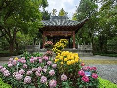 -汇龙潭