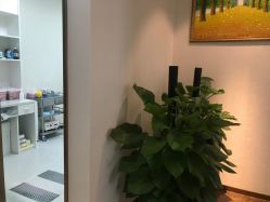 -丽美妍医疗美容·皮秒·立体分层抗衰