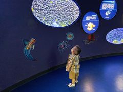 -贝林大翅鲸简餐厅(国家海洋博物馆店)