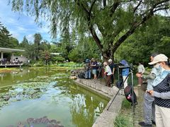 -国家植物园南园