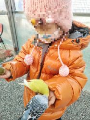 -萌宠亲子动物乐园(槐房万达店)