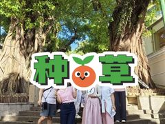 -龙环葡韵住宅式博物馆