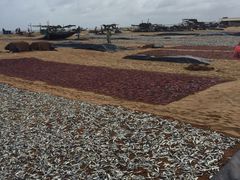 -尼甘布海鲜市场