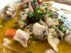 -港升鱼师傅·中山脆肉鲩