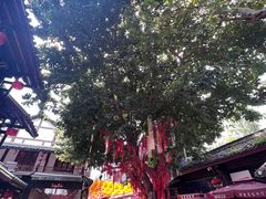 -文庙广场小吃一条街