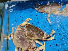 -炊江南·上海菜(国展华漕店)