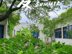 -上海共青森林公园