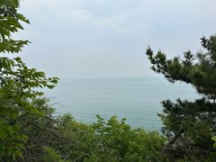 -棒棰岛宾馆景区