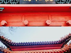 -桃花堤公园