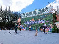 -黄海国家森林公园