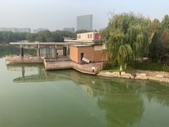 -大兴滨河森林公园