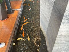-深圳隐秀山居酒店
