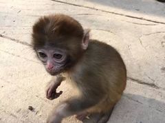 -昆山城市生态森林公园