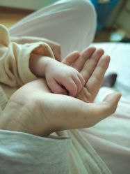 -生命加•Q考拉月子会所(玫瑰园店)