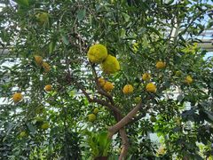 -国家植物园南园