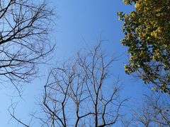 -绍兴镜湖国家城市湿地公园