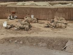 -秦始皇帝陵博物院(兵马俑)