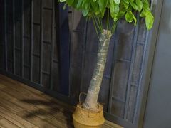 -LANN l 蘭 泰式古法按摩(宝山日月光店)