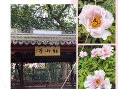 -中山公园