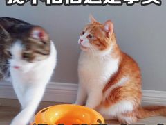 -萨莉亚意式餐厅(金隅嘉品mall店)