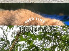 -广州长隆欢乐世界