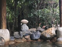 -张家港金凤凰度假村温泉