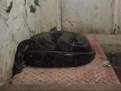 -宿豫区运河湾森林动物园