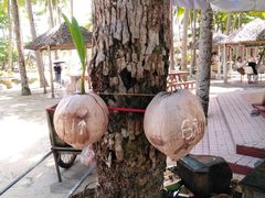 -东郊椰林