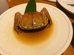 满浸熟醉六月黄蟹-苏小柳手作点心(控江旭辉分院)
