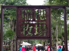 门面-瑞穗牧场
