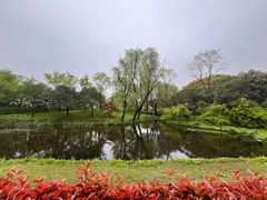 -上海共青森林公园