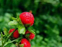 -人民广场-地下停车场