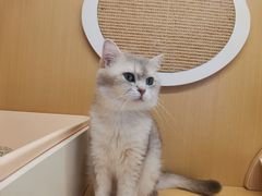 -浅醺烤串·小酒馆(百家湖店)