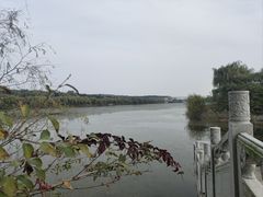 -函谷关历史文化旅游区